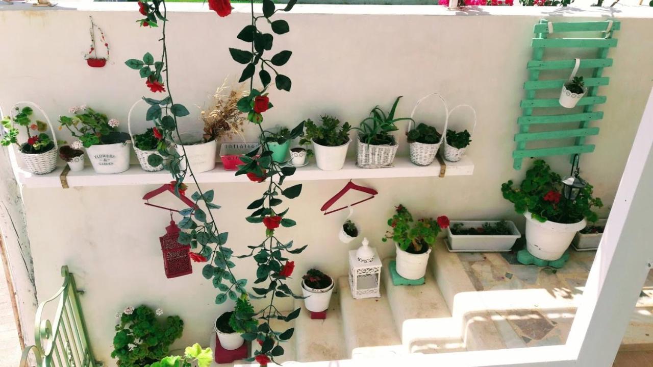 Bloom Villa By The Sea (Adults Only) Agia Pelagia  Esterno foto