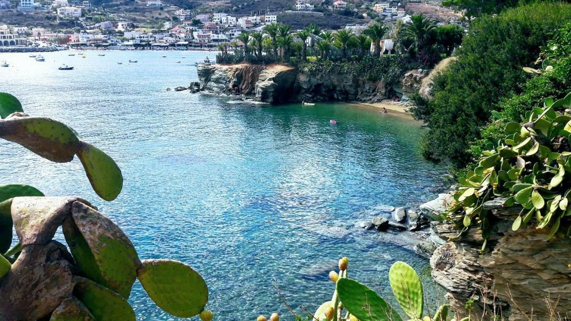 Bloom Villa By The Sea (Adults Only) Agia Pelagia  Esterno foto